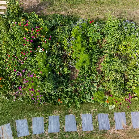 Vila Manoir De Rousse 320 M2 En Campagne Piscine Wifi Jardins *