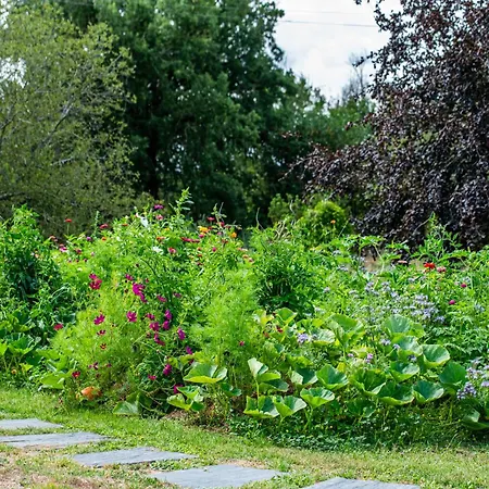 빌라 Manoir De Rousse 320 M2 En Campagne Piscine Wifi Jardins *