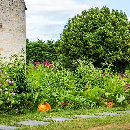 Manoir De Rousse 320 M2 En Campagne Piscine Wifi Jardins * Deneze-sous-Doue